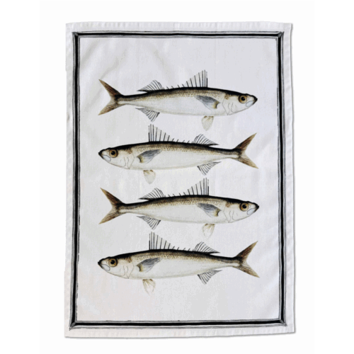 Vanilla Fly | Viskustykki Fiskar