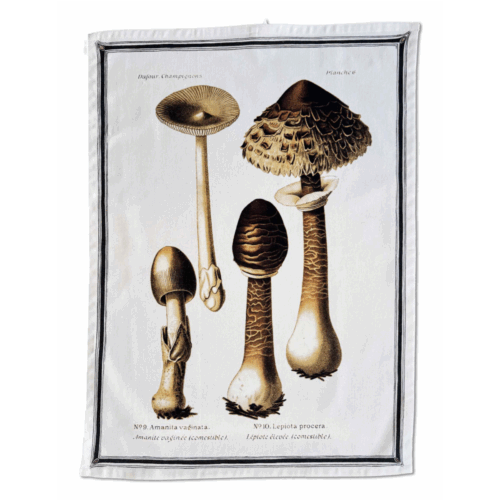 Vanilla Fly | Viskustykki sveppir